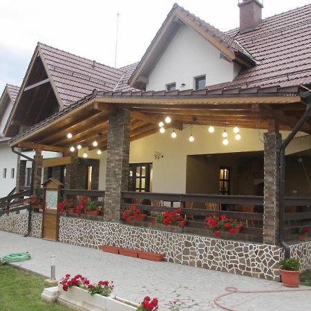 Готель Nut House Retezat Nucsoara  Екстер'єр фото